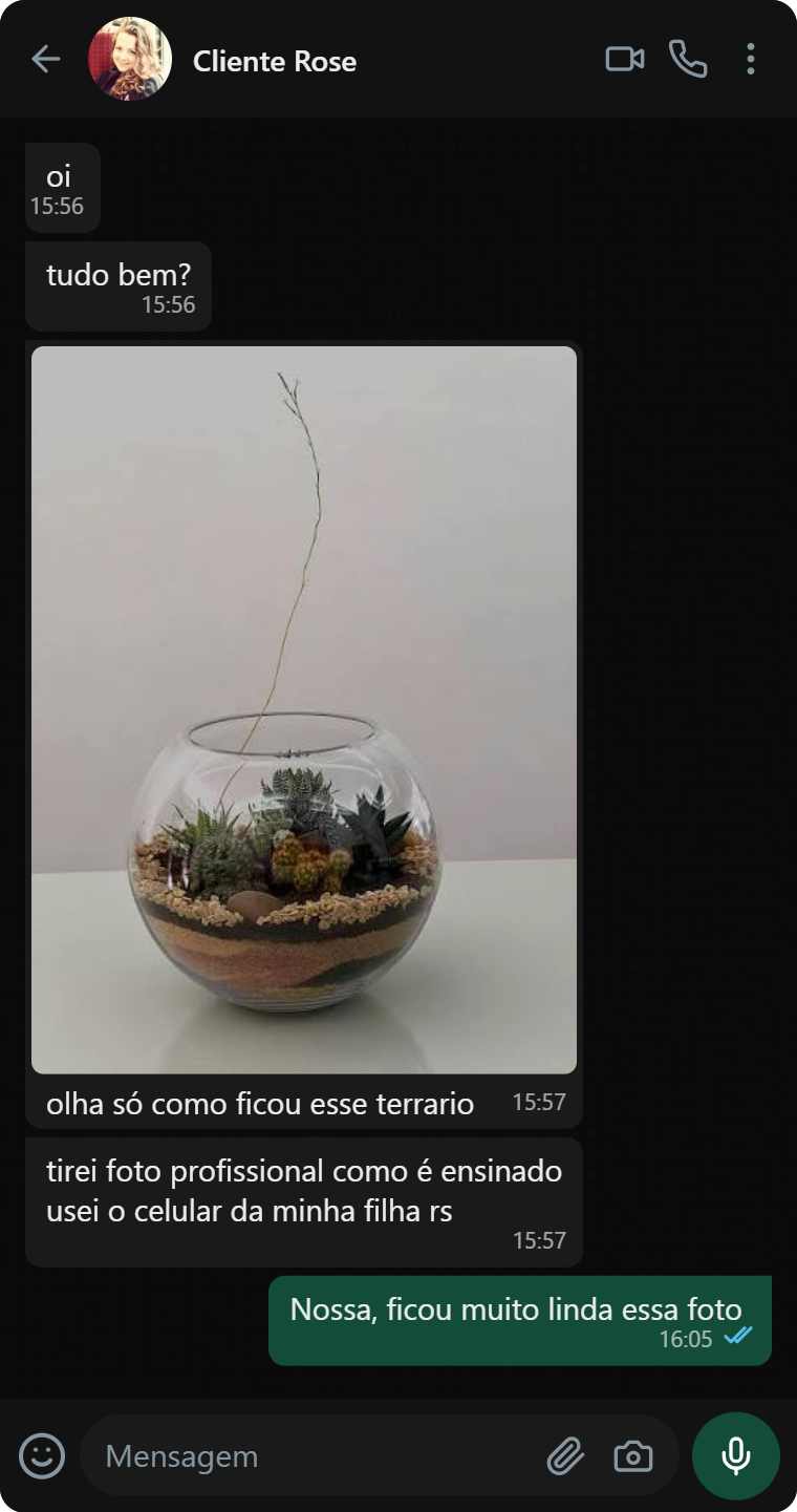 Depoimento no WhatsApp de Cliente Rose com foto de terrário em taça